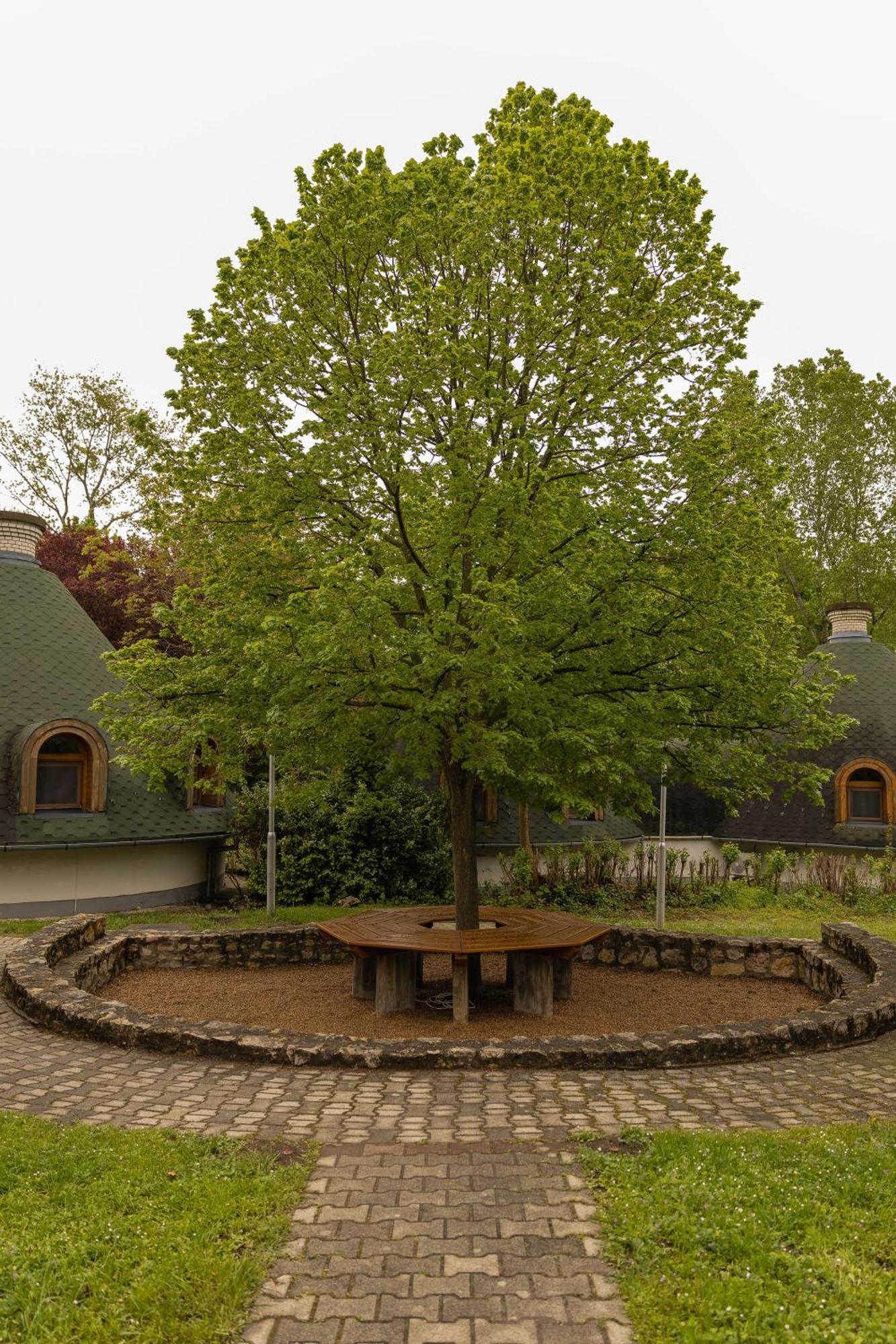 Gesztenye Nyaralopark Balatonudvari Esterno foto